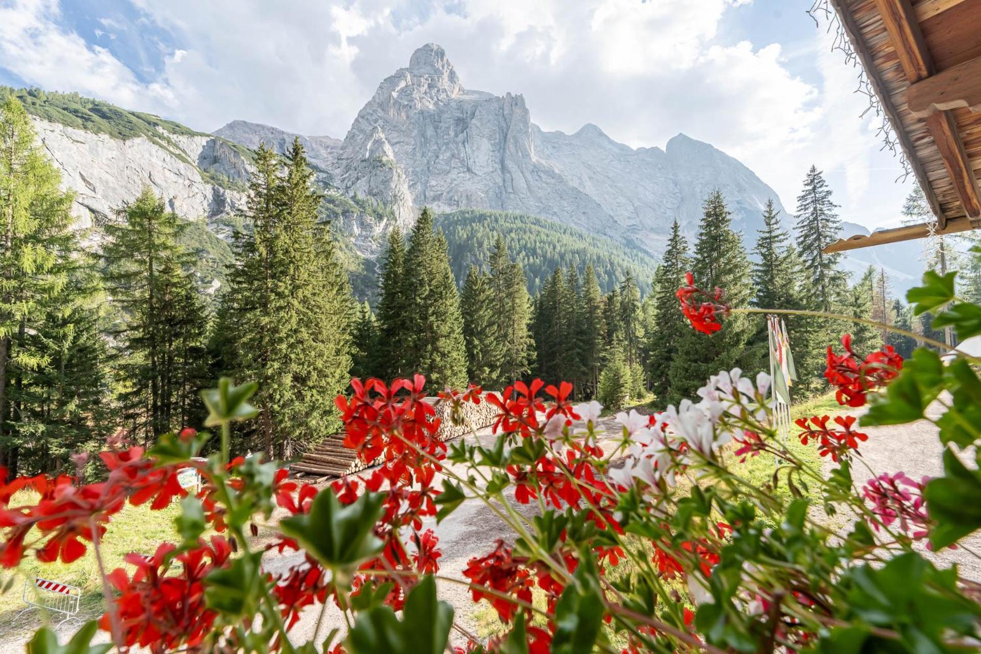 Hotel Villetta Maria Cottage Canazei Bagian luar foto
